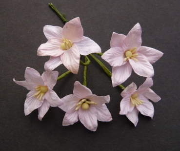 GRATIS! Wild Orchid Crafts - Lily Flowers Baby pink - 50 Stück