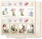 Preview: Maja Design Papier Spring Garden To Cut Out 12x12"