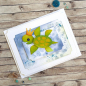 Preview: GRATIS! Elizabeth Craft Designs Stanzschablonenset Sea Turtle