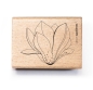 Preview: Cats on appletrees Holzstempel Magnolienblüte Outline 4.7x3.9cm