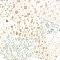 Preview: LaCreativ Designpapier Eukalyptus-Babyzauber Paper Pack 6x6" - 24 Bogen PRE-ORDER Lieferbar ab 24.02.2026
