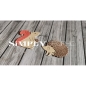 Preview: Simply Graphic Stanzschablonen Eichhörnchen und Igel écureuil et hérisson