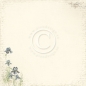 Preview: Pion Design Paper Shoreline Treasures Iris Sibirica 12x12