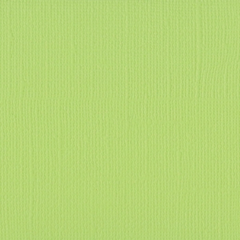 Vaessen Creative Florence Cardstock Texture Celery 12x12"