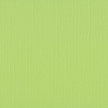 Vaessen Creative Florence Tonkarton Texture Celery 12x12"