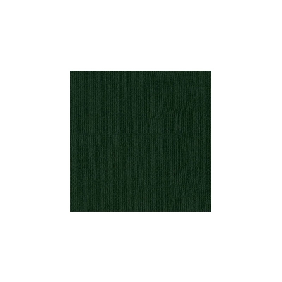 GRATIS! Bazzill Cardstock Papier Textured Canvas Aspen 12x12"