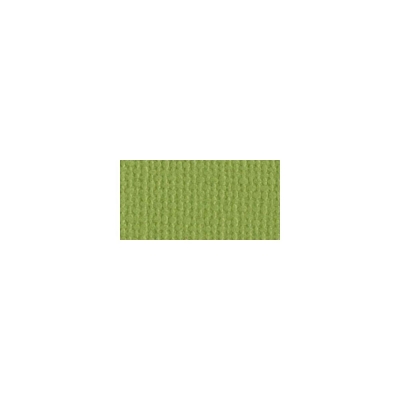 Bazzill Cardstock Textured Canvas Parakeet 12x12"