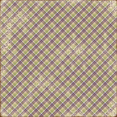 Maja Design Papier Ska vi ta en Fika Björnbärsrutor 12x12"