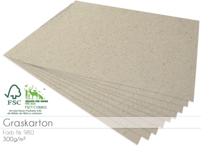 LaCreativ Cardstock Bastelpapier 300g/m² DIN A4 in Graskarton