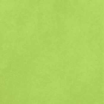 American Crafts Cardstock Smooth Key Lime 12x12"