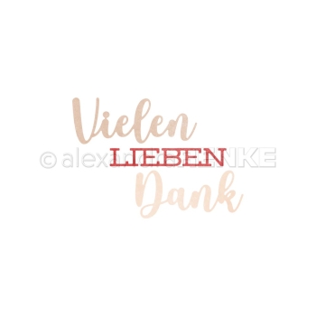 Alexandra Renke Stanzschablonen Schriften-duo Vielen lieben Dank