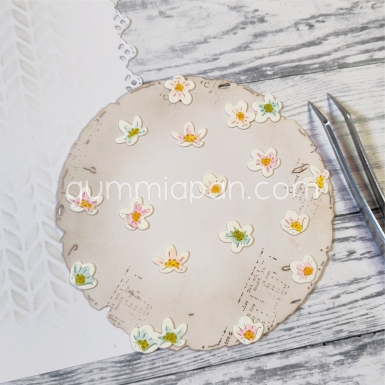 Gummiapan Stanzformen Cute Flowers PRE-ORDER Lieferbar ab 02.03.2026