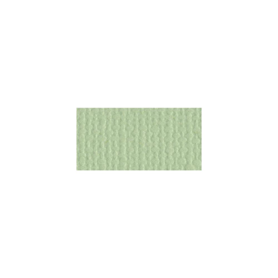 Bazzill Textured Canvas Cardstock Aloe Vera 12x12"