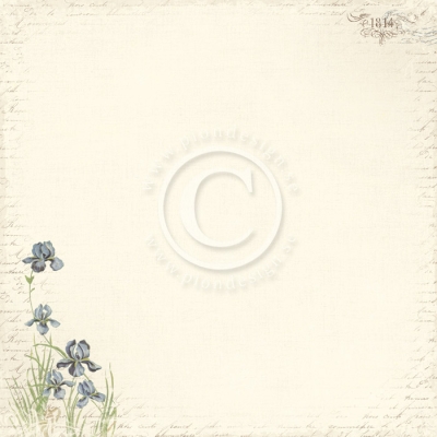 Pion Design Paper Shoreline Treasures Iris Sibirica 12x12