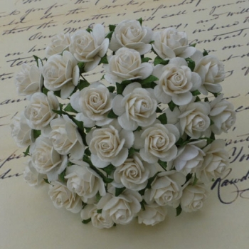 GRATIS! Wild Orchid Crafts Papierblumen Offene Rosen beige Open Roses Ivory 2.5 cm - 10 Stück