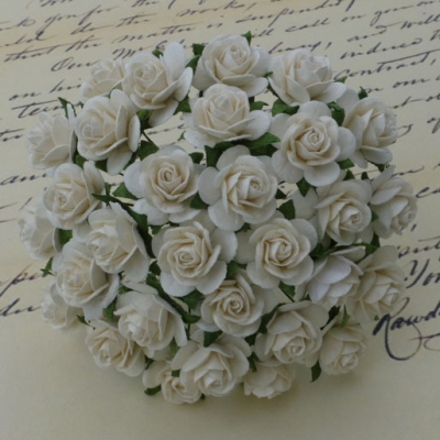 Wild Orchid Crafts Papierblumen Offene Rosen beige Open Roses Ivory 2.5 cm - 10 Stück