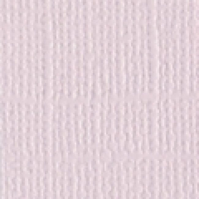 Bazzill Unipapier Cardstock Textured Canvas Petalsoft 12x12"