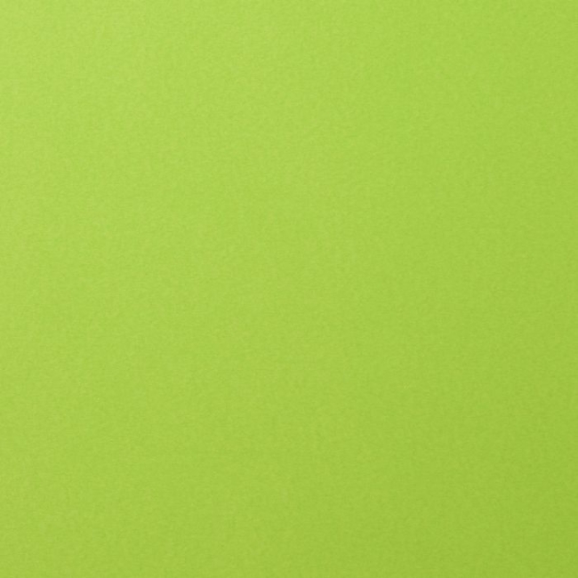 Vaessen Creative Florence Cardstock Smooth Lime 216gr 12x12" (5 Bogen)