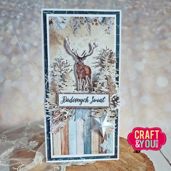 Craft&You Design Stanzformen Sterne Stars Dies