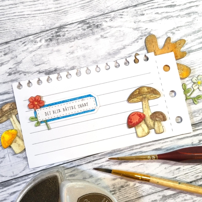 Gummiapan Stanzform Pilze Porcini Mushrooms