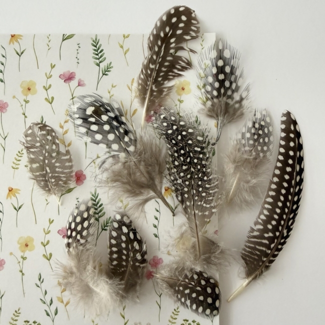 Dekofedern flauschig 3gr.