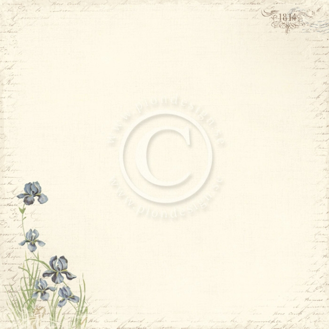 Pion Design Paper Shoreline Treasures Iris Sibirica 12x12
